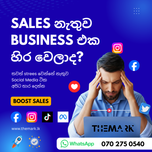 Social Media Boosting/ Advertising